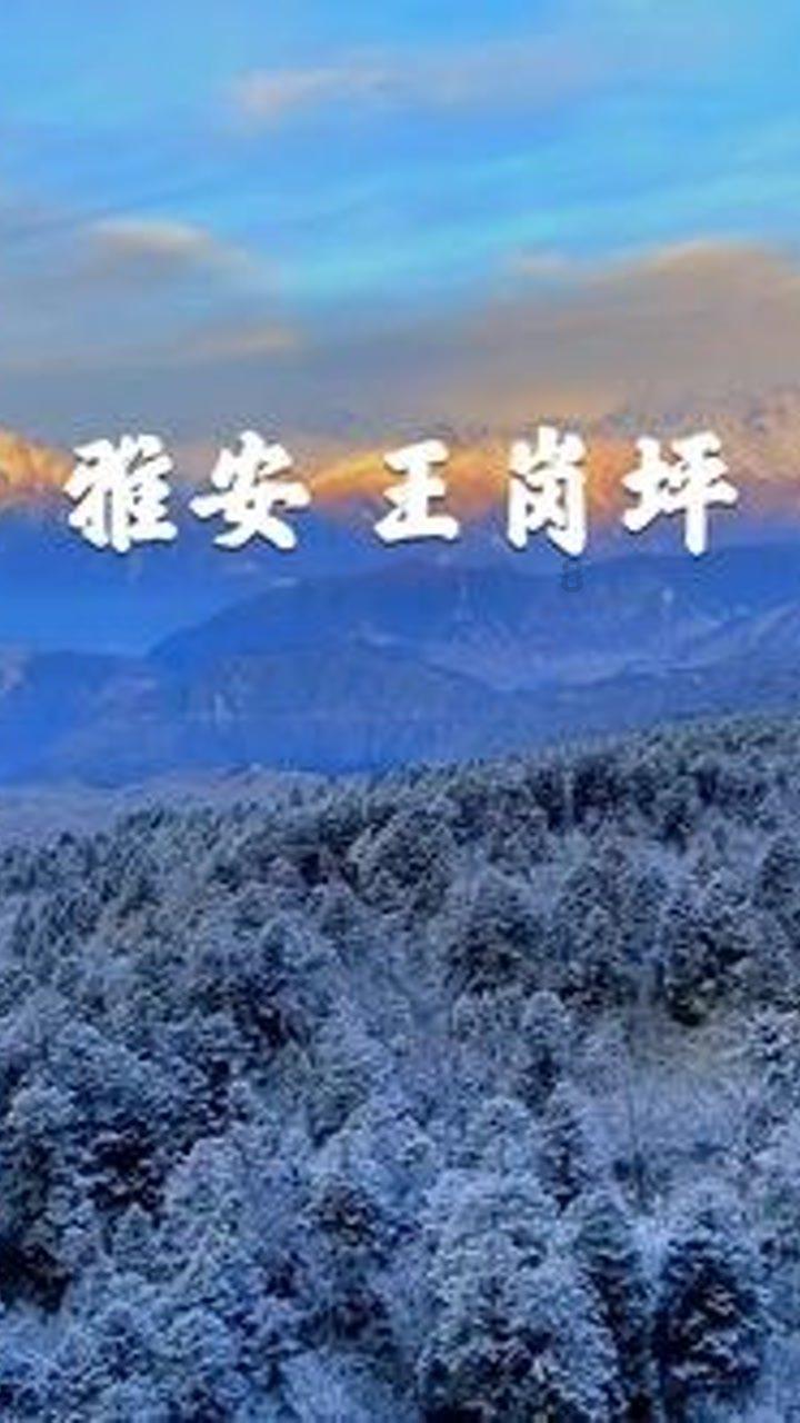 狙击精英4